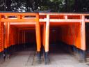 Fushimi-inari-taisha shrine