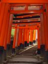 Fushimi-inari-taisha shrine