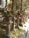 Nara park