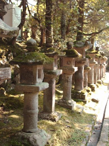 Nara park