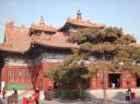 Lama Temple
