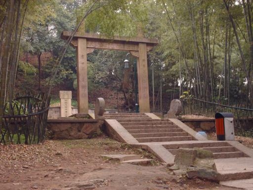 Bamboo bos in Haugzhou