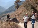 tiger leaping gorge trek