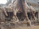 Preah Khan
