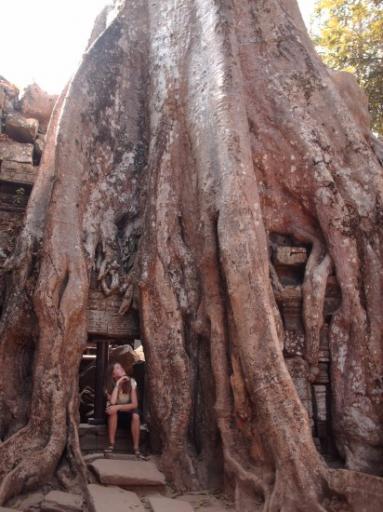 Ta prohm