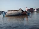 Boot cruise Siem Reap - Battabang