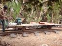 Bamboo trein