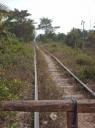 Bamboo trein