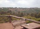 Onze mooie uitzicht van de tree top lodge