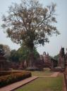 Sukhothai historical park