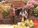 Doi Tung Paleis