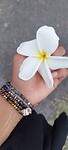 IMG_20221007_175328