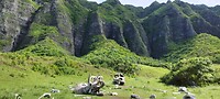 IMG_20221006_143716