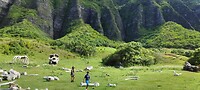 IMG_20221006_143710