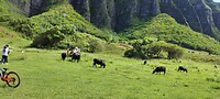 IMG_20221006_143701