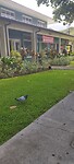 IMG_20221007_143102