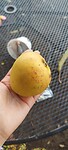 IMG_20221008_155856