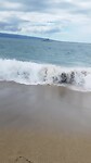 Lahaina beach