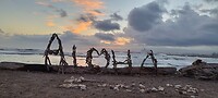 IMG_20221010_061446