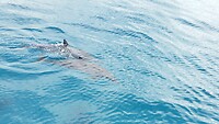 IMG_20221012_093919
