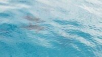IMG_20221012_093915
