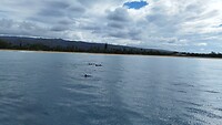 IMG_20221012_093847