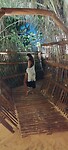 IMG_20221122_183307