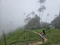 20260125_160031