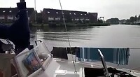 Casarca in Alkmaar