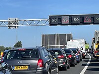 IMG_0601