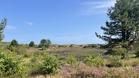 IMG_0719