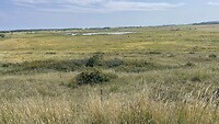 IMG_0728