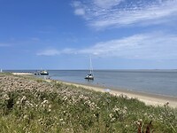 IMG_0737