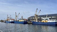 IMG_0776