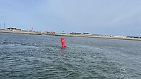 IMG_0784