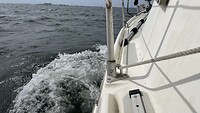 IMG_0799