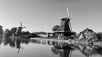 IMG_3172