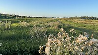 IMG_3251