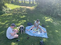 IMG_3297