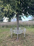IMG_3362
