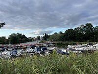 IMG_3361