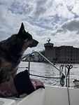 IMG_3416