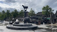 IMG_7138