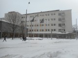 Hanken School of Economics