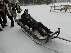 Reindeer sledding