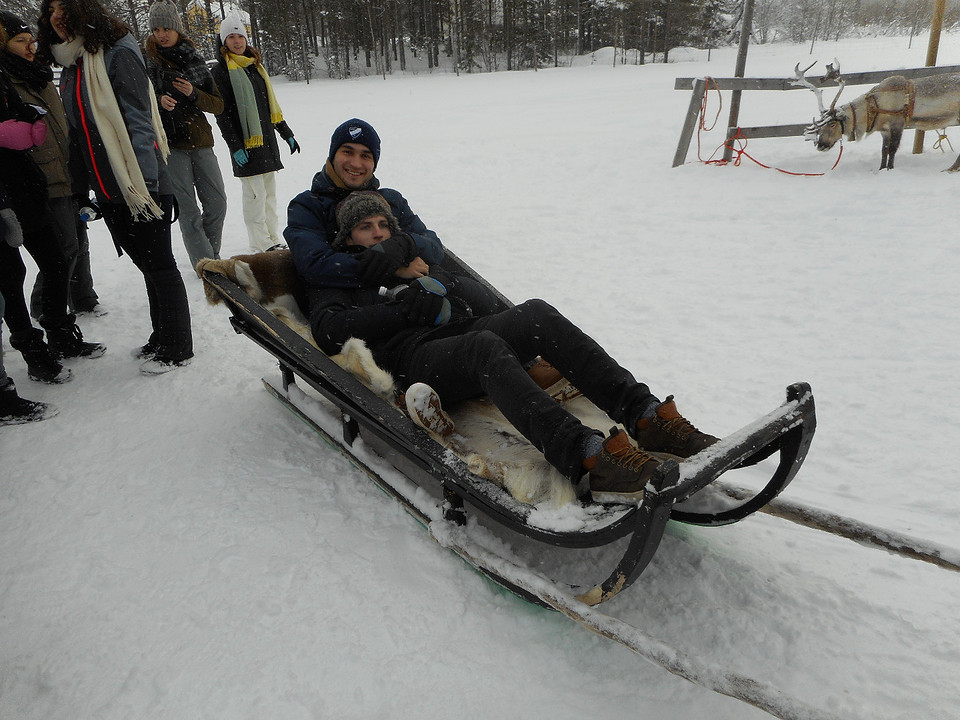 Reindeer sledding