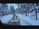 Husky ride