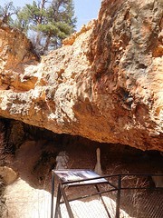 Mossy cave