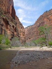 ZIon