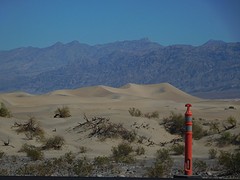 sand dunes